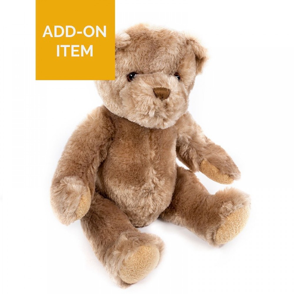 A Cuddly Toy - Florist Choice Bear