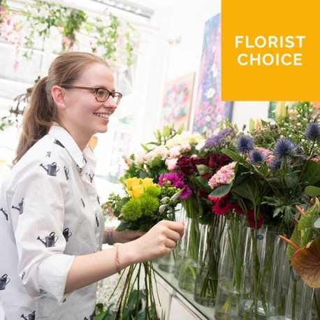 Florist Choice Flowers - Cut Flowers only